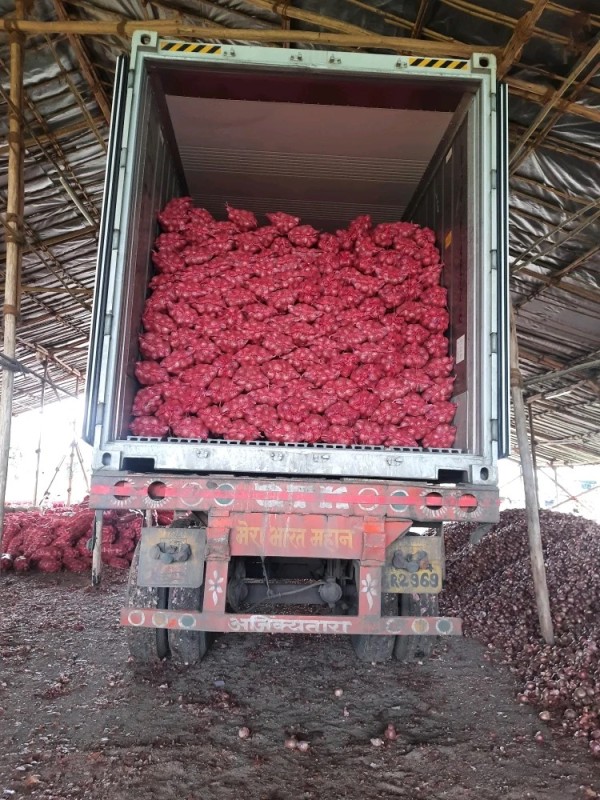 ONION from India